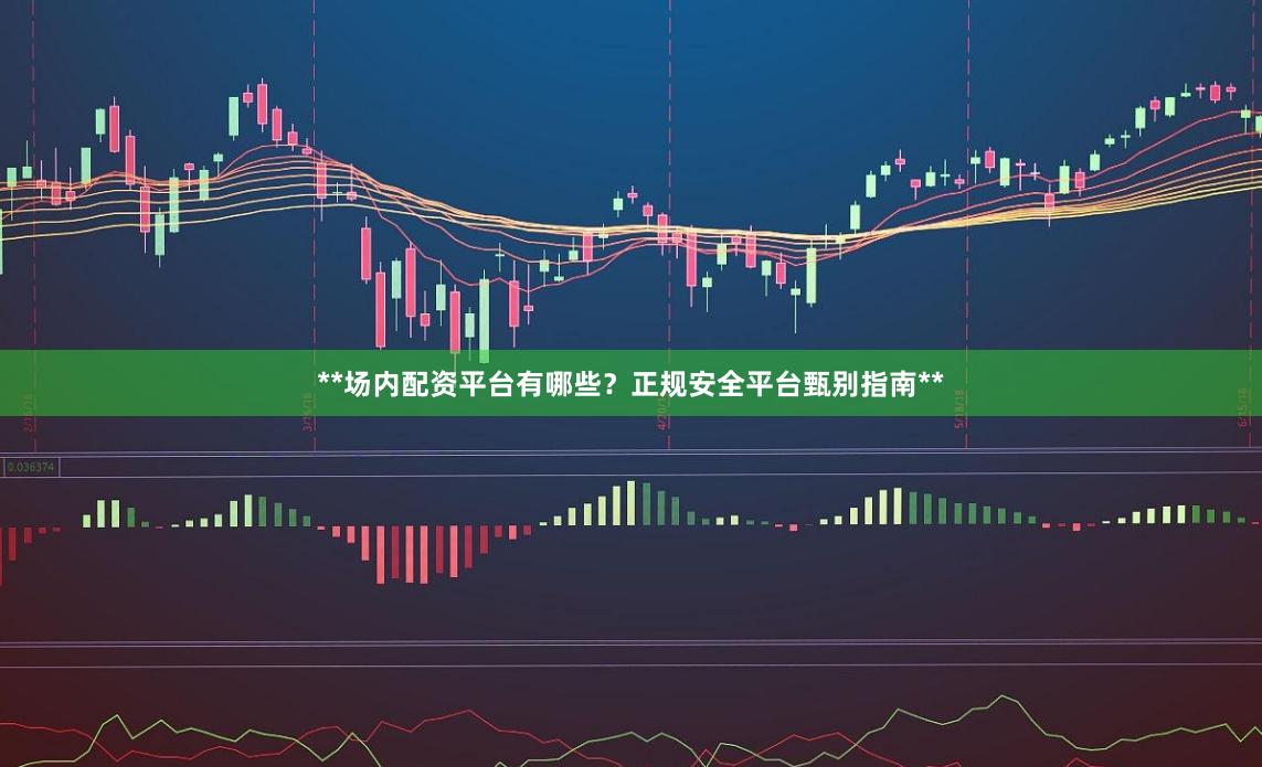 **场内配资平台有哪些?正规安全平台甄别指南**